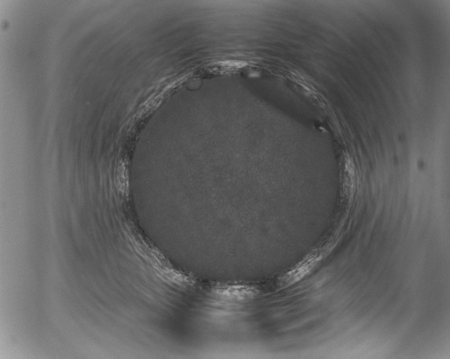 X0000054370467200508011225