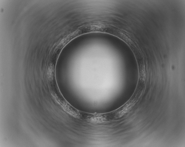 X0000054370468200508011225