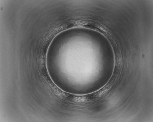 X0000054370469200508011225