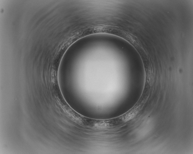 X0000054370470200508011225