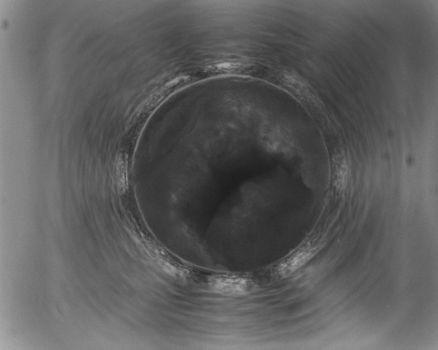 X0000054370471200508011225