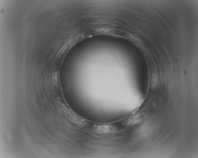 X0000054370473200508011225