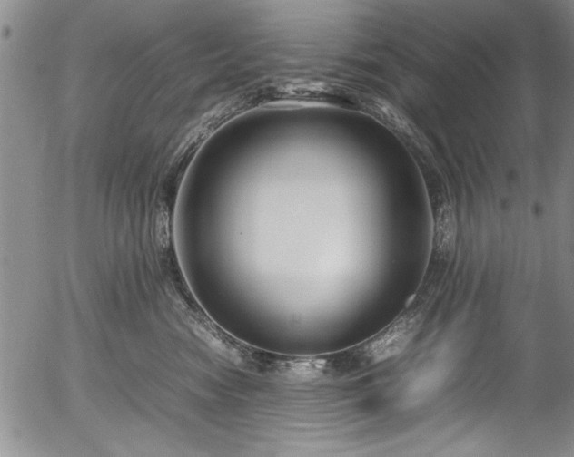 X0000054370474200508011225