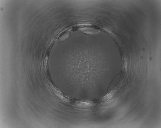 X0000054370475200508011225