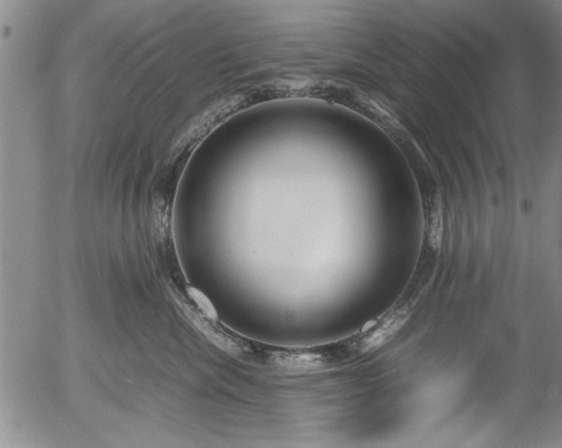 X0000054370476200508011225