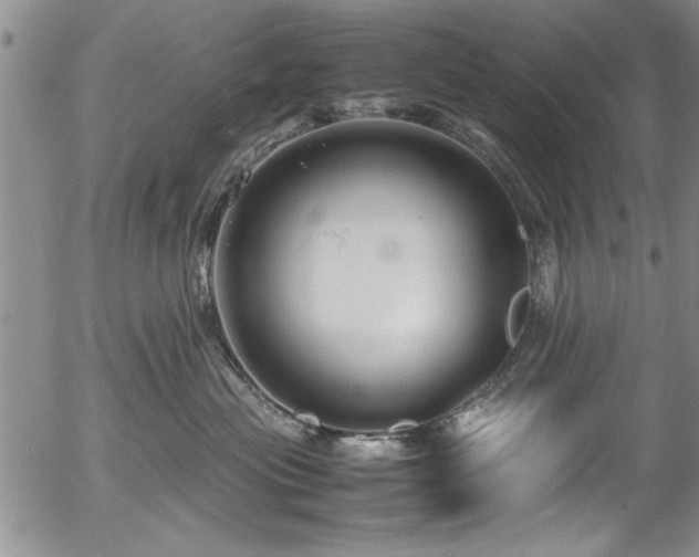 X0000054370477200508011225