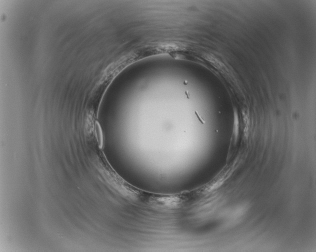 X0000054370478200508011225