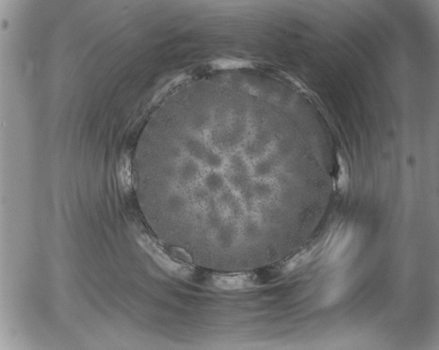 X0000054370479200508011225