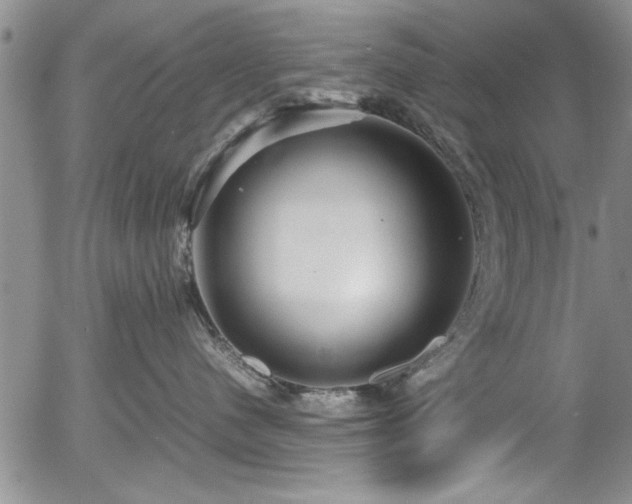 X0000054370480200508011225