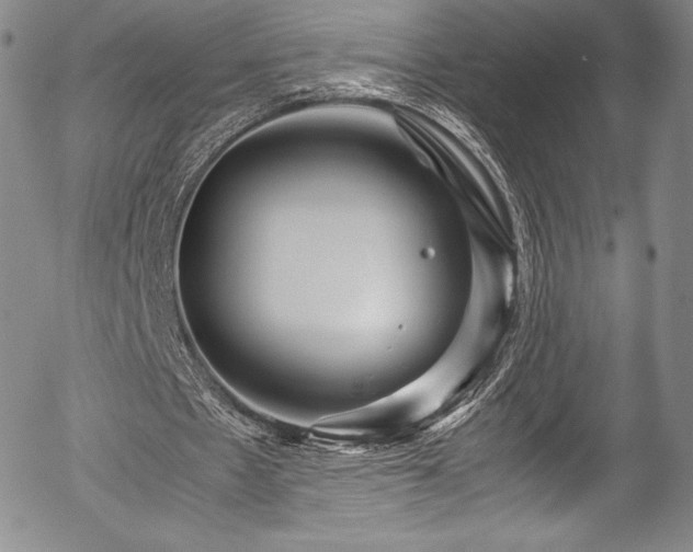 X0000054370481200508011224