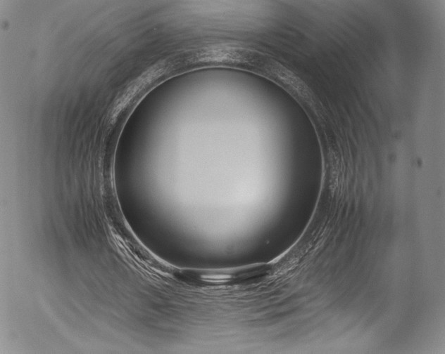 X0000054370482200508011224