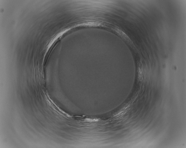 X0000054370484200508011224