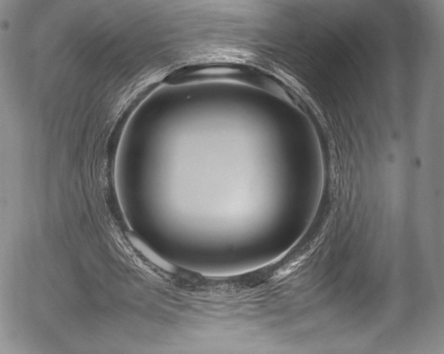 X0000054370485200508011224