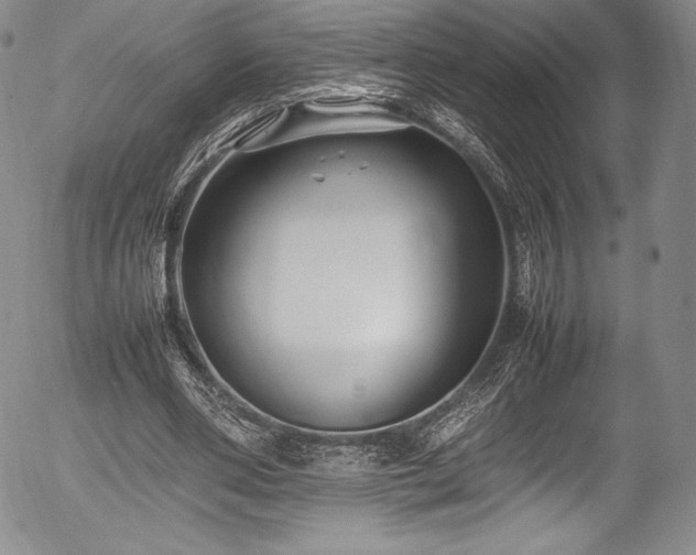 X0000054370486200508011224