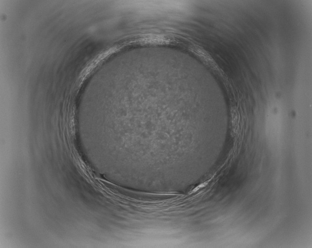 X0000054370487200508011224