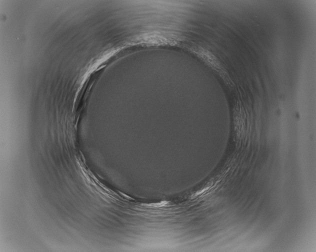 X0000054370488200508011224