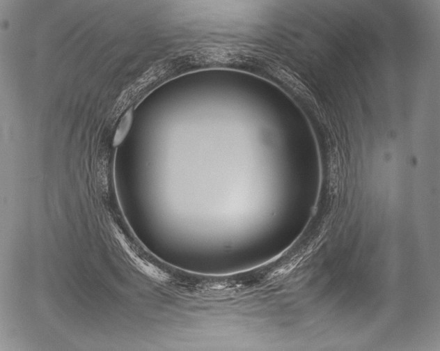 X0000054370489200508011224