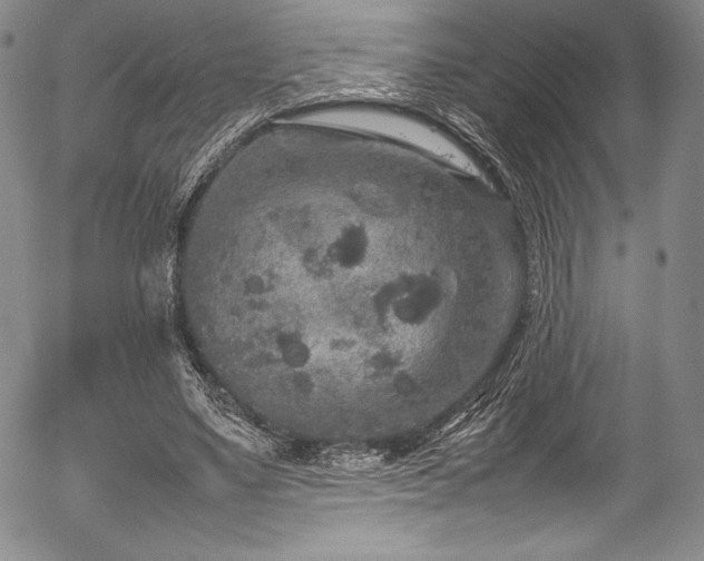 X0000054370491200508011224