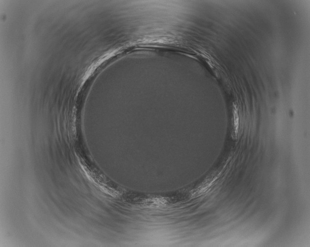 X0000054370492200508011224