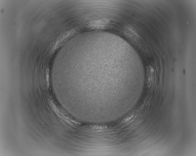 X0000054370494200508011224