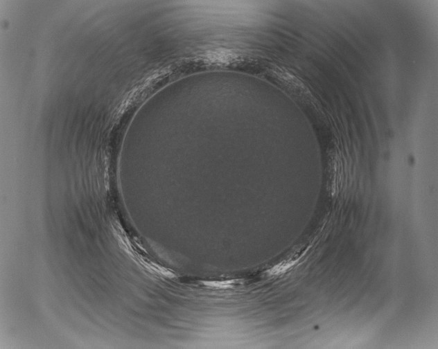 X0000054370496200508011224