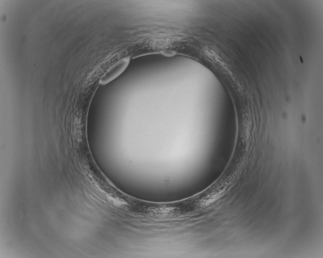 X0000054370497200508011224