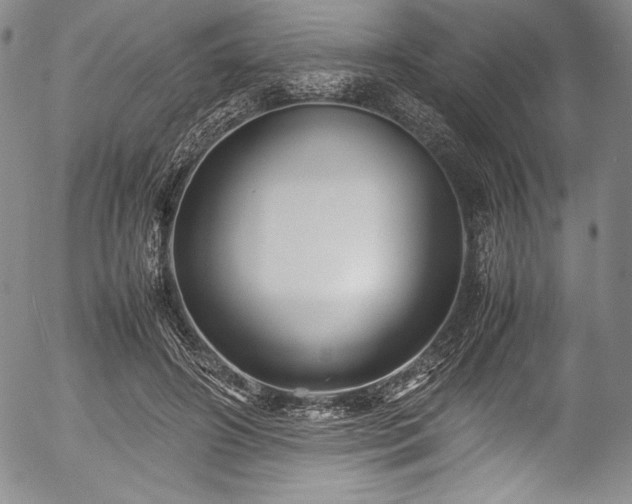 X0000054370498200508011224