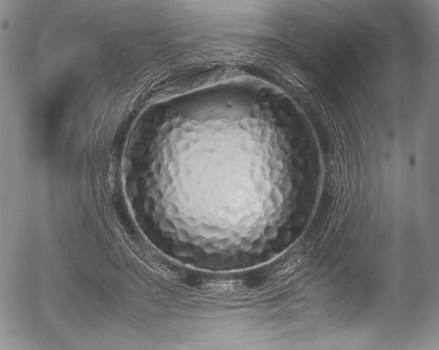 X0000054370499200508011224