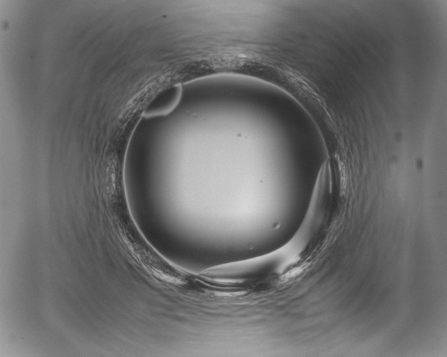 X0000054370501200508011224