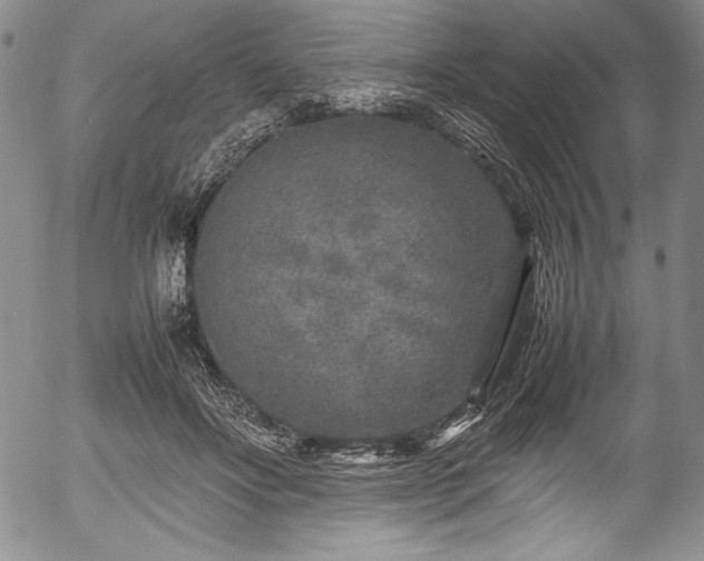 X0000054370502200508011224