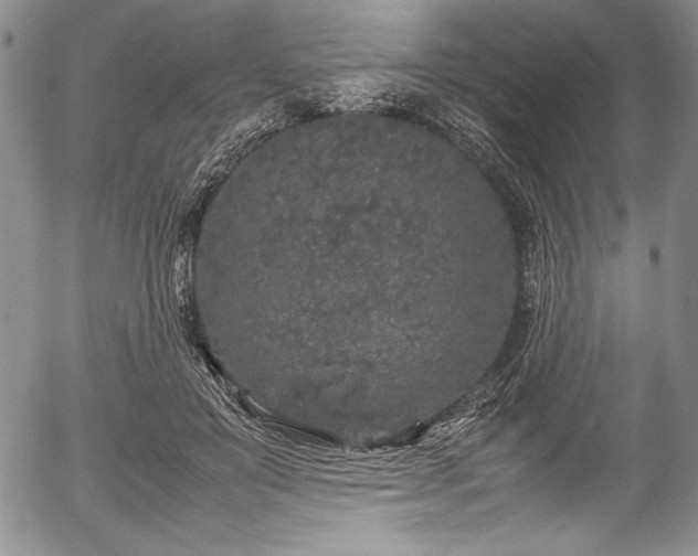 X0000054370503200508011224