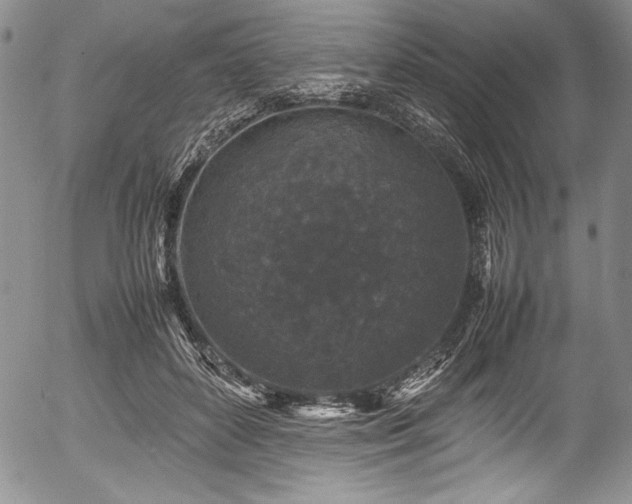 X0000054370504200508011224