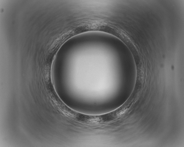 X0000054370505200508011224