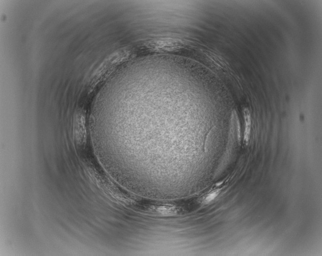 X0000054370506200508011224