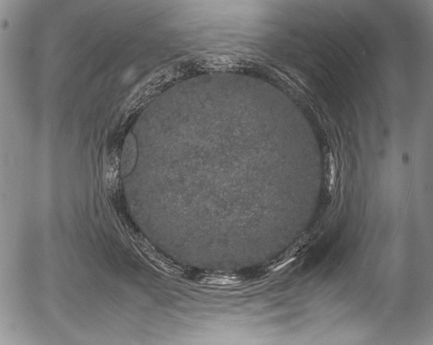 X0000054370507200508011224