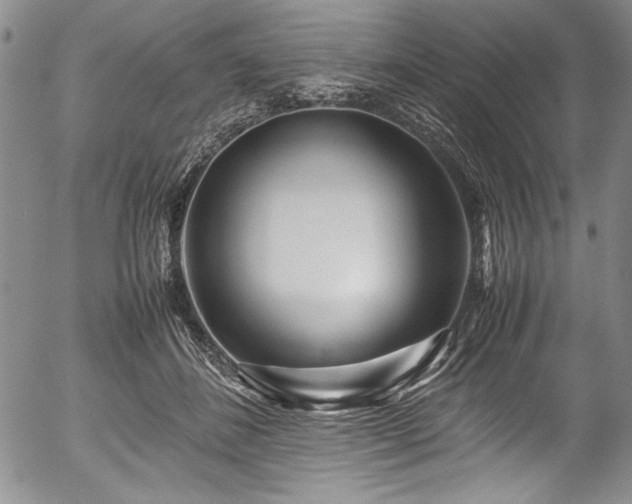 X0000054370508200508011224