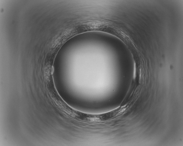 X0000054370509200508011224