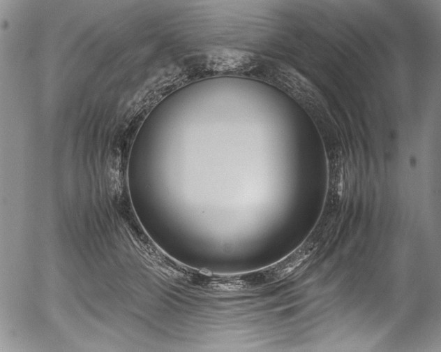 X0000054370510200508011224