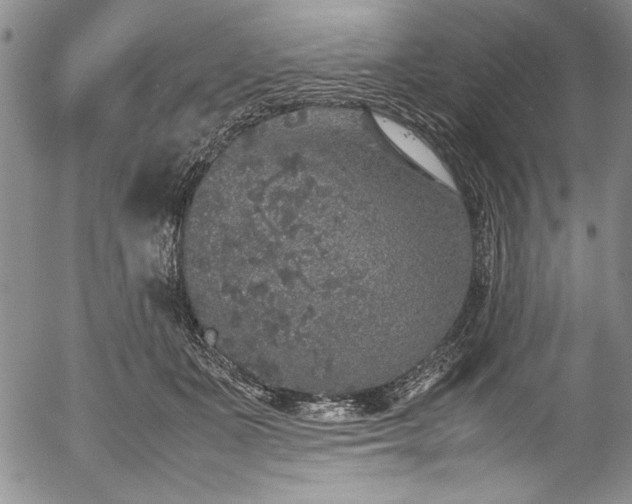 X0000054370511200508011224