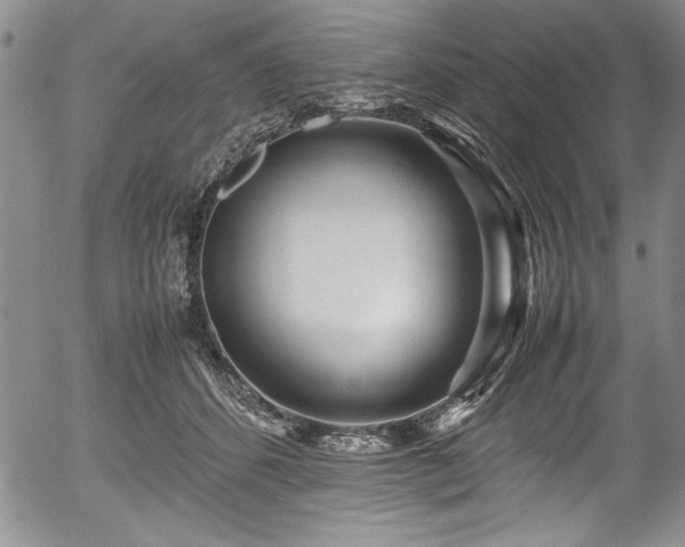 X0000054370512200508011224