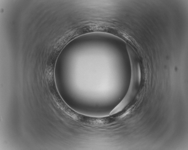 X0000054370513200508011224