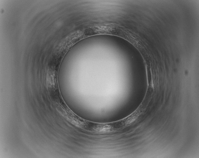 X0000054370514200508011224