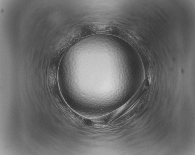 X0000054370515200508011224