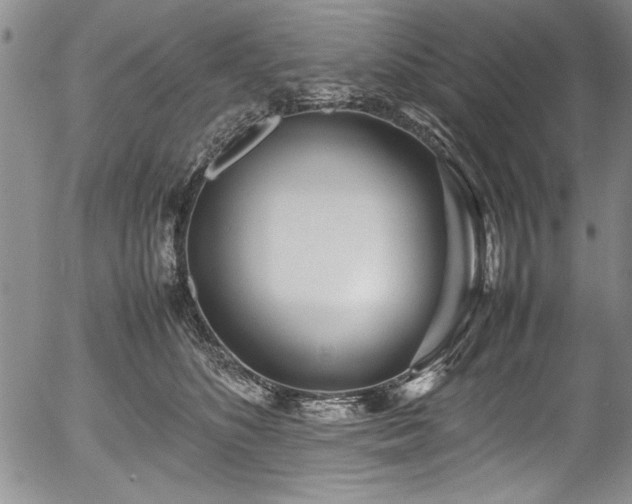 X0000054370516200508011224