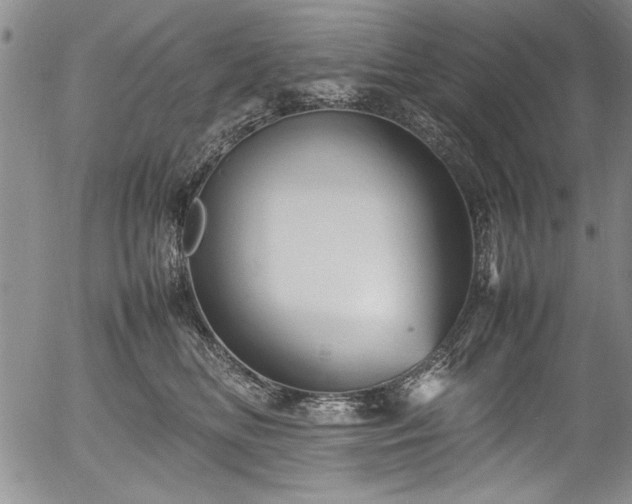 X0000054370518200508011224