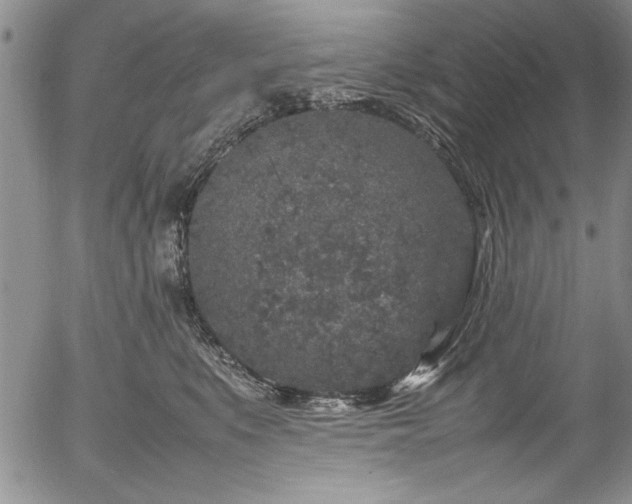 X0000054370519200508011224