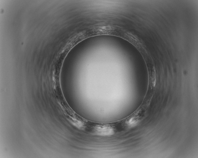 X0000054370520200508011224