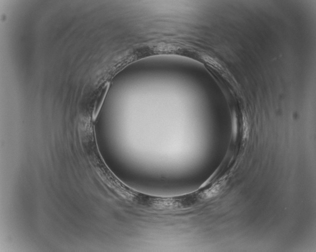 X0000054370521200508011224