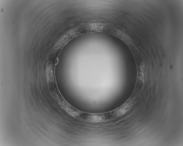 X0000054370522200508011224