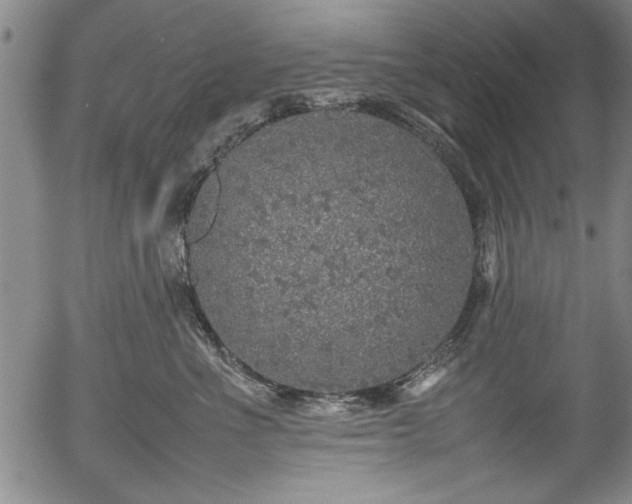 X0000054370523200508011224